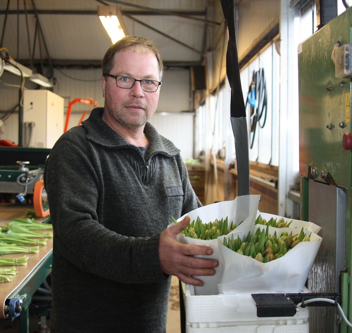 Teler Ruud Klein voegt de tulpenbossen samen